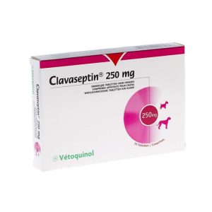 CLAVASEPTIN COM 250 MG X 10