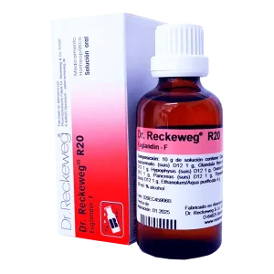 DR RECKEWEG R20 EUGLANDIN-F X 50ML