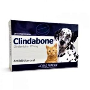 CLINDABONE COM 165 MG X 20