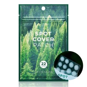 SKIN1004 PARCHE ACNE TEA-TRICA SPOT COVER X 22 PCS