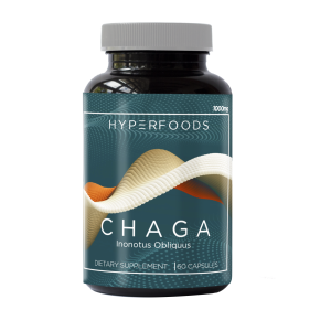 CHAGA (INONOTUS OBLIQUUS) EXTRACTO ORGÁNICO – FRASCO X 1000 MG X 60 CÁPSULAS
