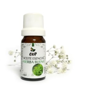 ACEITE ESENCIAL DE HIERBA BUENA / SPEARMINT (MENTHA SPICATA) 100% PURO – FRASCO X 10 ML